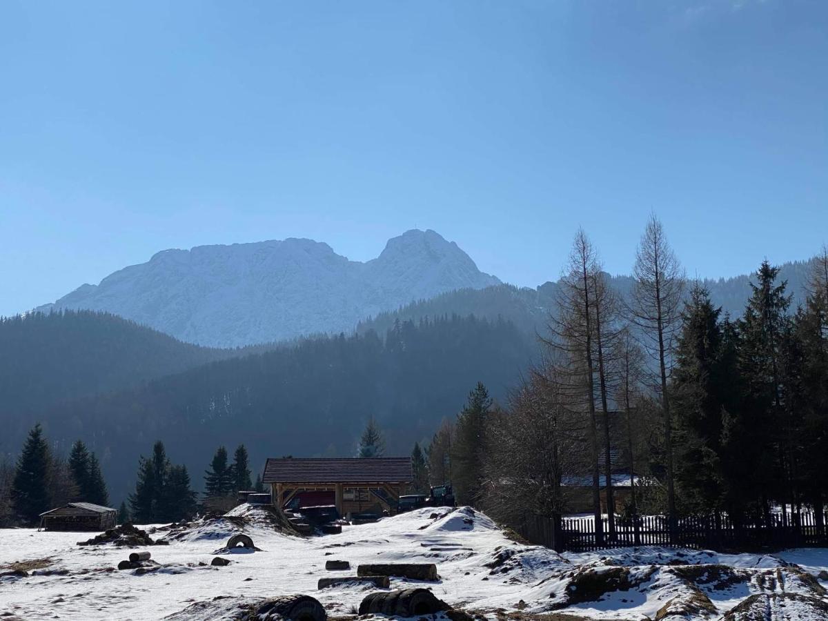 Viva Maria -Sky Moszczak Apartments&Spa Zakopane Exterior photo